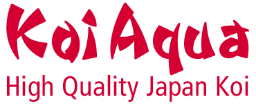 Japanische Koi & Koifutter | Ihr Online Shop für Japan Koi