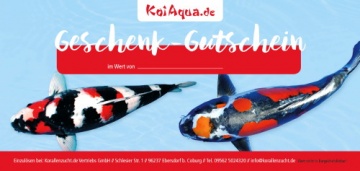 Gutschein gedruckt 15.-€