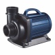 morepic-1