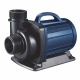 morepic-1