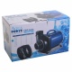 morepic-2